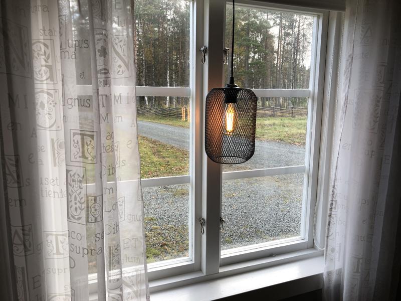 Utsikt mot skogen och grusvägen