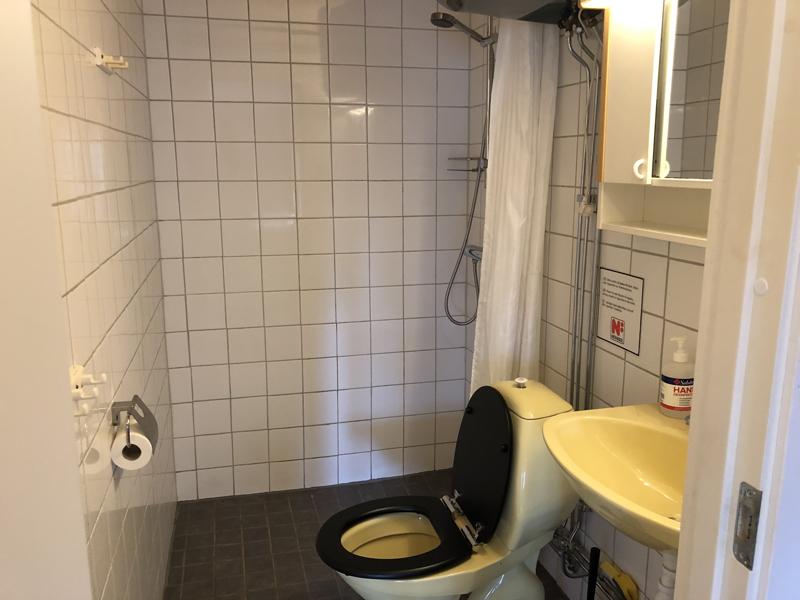 Badrummet med dusch och toalett
